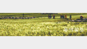 [포토 에세이]“초록 물들이러, 혼저 옵서”