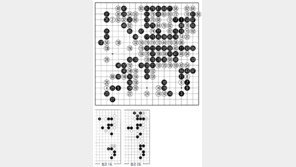 [바둑]제57기 국수전… 진시영 5단 본선 진출