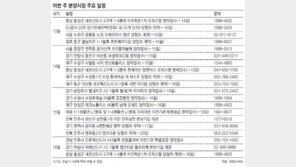 [부동산 캘린더]남양주 ‘별내2차 아이파크’ 등 13곳 청약 접수