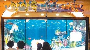 [신나는 공부]‘놀이형 스마트 빅 보드’ 개발