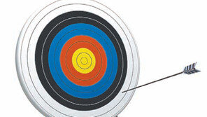 [DBR 칼럼]똑똑한 실패… 창의적 실수… 창조경제 특효약