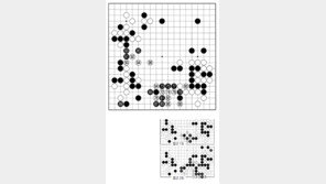 [바둑]제57기 국수전… 도망자 신세