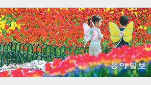 [포토 에세이]팅커벨, 피터팬은 어디 있니?