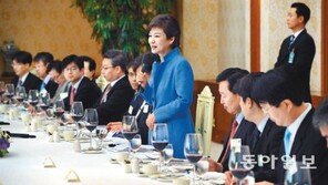 朴대통령 “대북 획기적 제안? 그래서 성공한 적 있나”