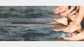 [포토 에세이]청계천의 ‘발가락 행진곡’