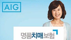 [Money&Life/이런 상품도 있었네!]치매 진단시 최초 1회 간병비 일시불 지급, AIG손해보험 外