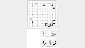 [바둑]제57기 국수전… 황소 삼총사의 친구