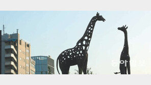 [포토 에세이]도시밀림에 나타난 기린