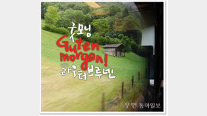 [우먼 동아일보] “스위스 라우터브루넨, 한 폭의 그림 위를 달리는 듯”… ‘이웃집블로거 빌시’ 이진형의 소소한 유럽 이야기