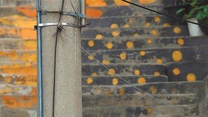 [포토 에세이]오르기 힘드세요? 그럼, 가위바위보!