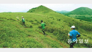 [제주]제주 ‘트레일 러닝’ 열풍 분다