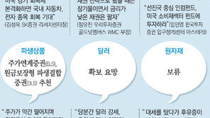 [버냉키 쇼크]“채권투자는 당분간 ‘굿바이’… 대출 받으려면 고정금리로”