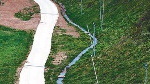 [포토 에세이]아들아, 조금만 더 힘내자