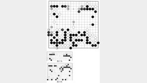 [바둑]제57기 국수전… 양 선수 111-113