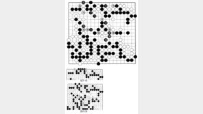 [바둑]제57기 국수전… 호수 175, 177 