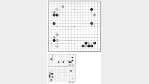 [바둑]제 57기 국수전… 19로 두 칸 벌린 뜻은