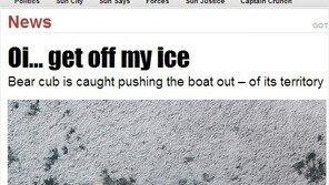 쇄빙선 밀어내는 북극곰, “다가오지 마… 얼마나 화났으면”