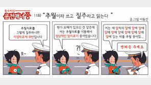 [동수씨의 운전매너쯩]<11화>“추월이라 쓰고 질주라고 읽는다”