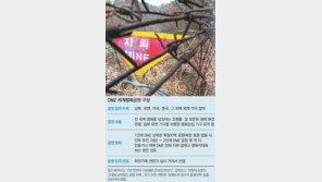 [단독]北도 DMZ 관광도시 관심… “올초까지 南기업에 개발 타진”