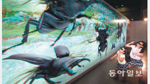 “킹콩 크기 장수풍뎅이가 덮친다” 3D 체험전에 탄성 연발