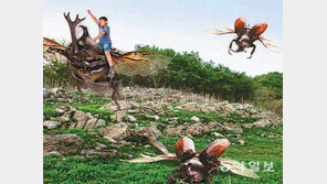 [신나는 공부/알림]‘라바와 함께하는 3D 곤충체험전’