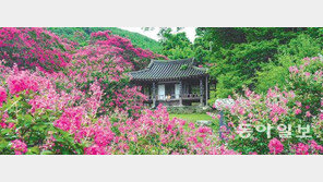 박경자 원장 “중국정원이 크고 화려하다면 한국정원은 꾸밈없고 소박”