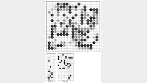[바둑]제57기 국수전… 홍성지 본선 무대 합류