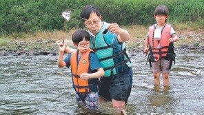 [충북]견지낚시 하면서 더위도 낚아요