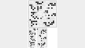 [바둑]제57기 국수전… 현찰 123, 133