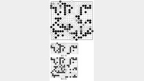 [바둑]제57기 국수전… 반 집 손해 163