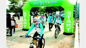 [신나는 공부]‘2013 통일문화축제’…온가족 함께 즐길 거리 풍성하네