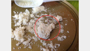 ‘분유 개구리 사체’? 아기 먹던 분유통에 말라죽은 개구리가…