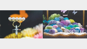 [Jewelry]여심 사로잡는 신비감… 진주가 기적의 보석인 까닭은