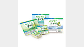 주천농협 백두강원콩의꿈통두부 쿨썸머페스티벌 이벤트 성황리에 마쳐