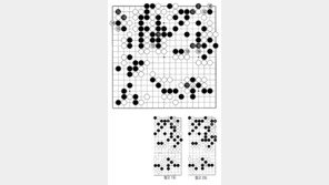 [바둑]제57기 국수전… 161의 숨은 그림