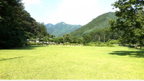 이민으로 인한 주택과 토지 급매