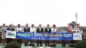 제주경마공원 31일 ‘NH농협은행 후원 경주’