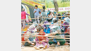 [기고]밀양 송전탑 문제 어떻게 풀 것인가