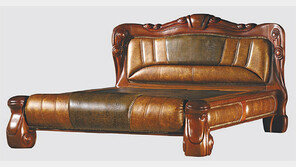 [헬스&뷰티]면역력에 좋은 대나무 숯 침대 ‘잠이 솔솔’