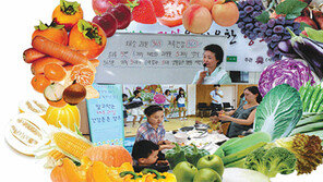 [헬스&뷰티]피토케미컬+섬유질… 채소 과일로 건강 365일