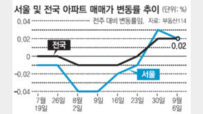 ‘8·28 대책’ 훈풍… 집 사려는 사람들 줄섰다