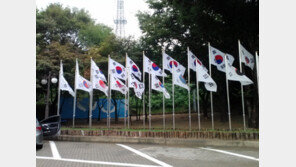 천안휴게소 지나 ‘태극기 휘날리며’ 고향으로~