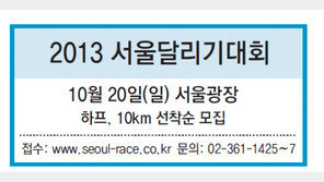 2013 서울달리기대회
