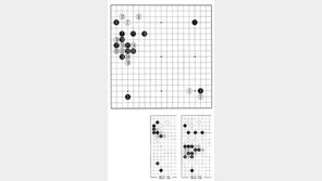[바둑]제57기 국수전… 연초 돌풍 이희성