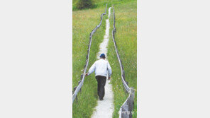 [포토 에세이]한걸음 한걸음 걷다보면…