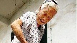 500살 거북이 발견, 남미에서 태평양 건넜다고?