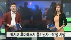 멕시코 총기 난사, 무장괴한 가정집 침입…10명 사망 