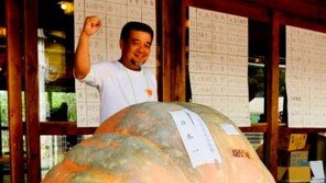 일본 초대형 호박 “방사능호박 아냐?”