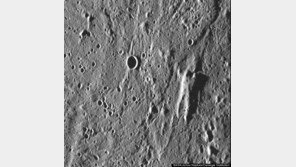 수성 사람 모양 물체 발견 “만세! 하고 있는 모습에…”