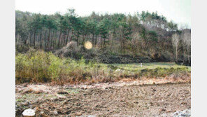 [Home&Dream]호두·매실나무 가족농장, 제주 감귤밭 66㎡도 제공